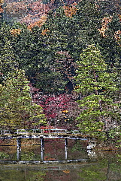 Japan,  nordöstliches Gebiet von Kyoto,  Holz-Erde-Brücke,  die kleine Inseln im Yokuryuchi-Teich bei der kaiserlichen Villa Shugakuin verbindet