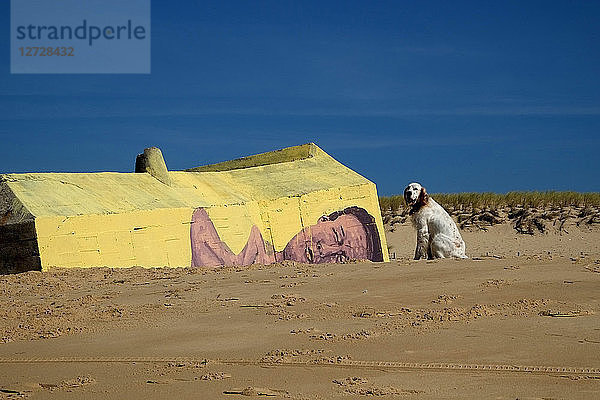 Hund am Strand von Cap Ferret,  Frankreich