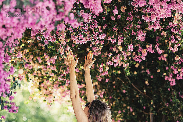 Woman reaching for pink blossoms in park