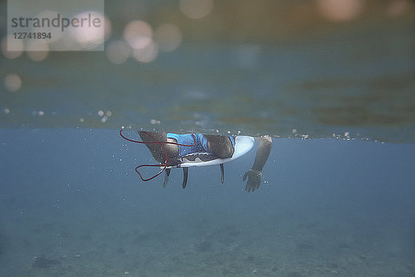 Maledives,  Indian Ocean,  surfer sitting on surfboard,  underwater shot