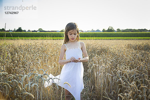 Portrait of little girl standing in wheat field