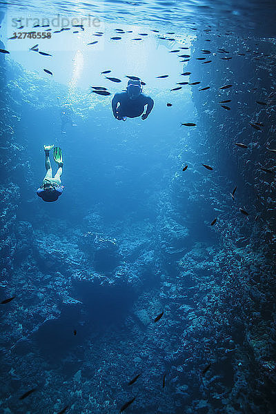 Mann und Frau beim Schnorcheln unter Wasser zwischen Fischen,  Vava'u,  Tonga,  Pazifischer Ozean