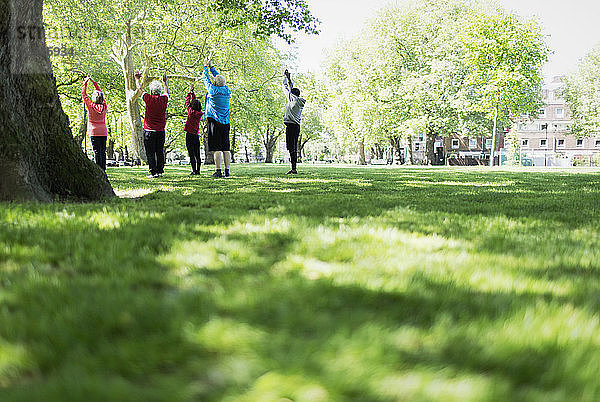 Active seniors exercising,  practicing yoga in park