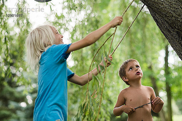 Kinder spielen unter Weidenbaum
