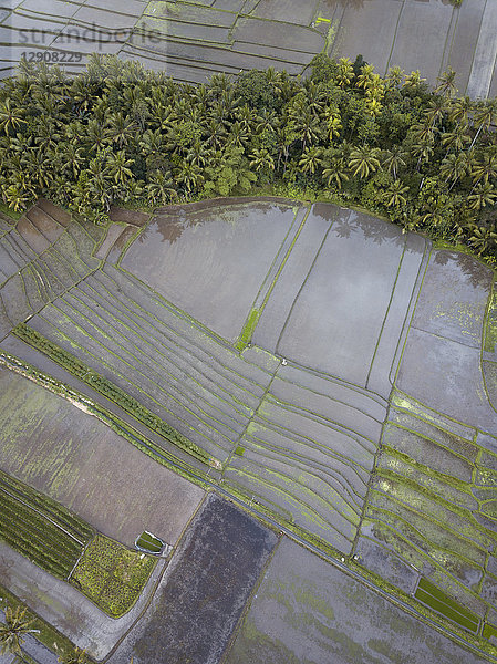 Indonesia,  Bali,  Aerial view of Bali island