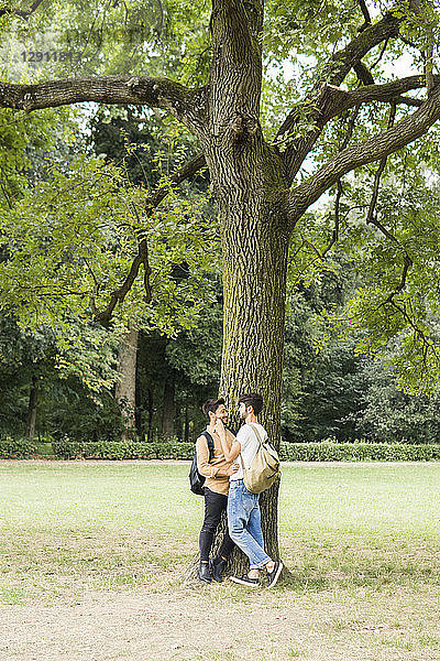 Happy young gay couple leaning against tree in city park looking at each other