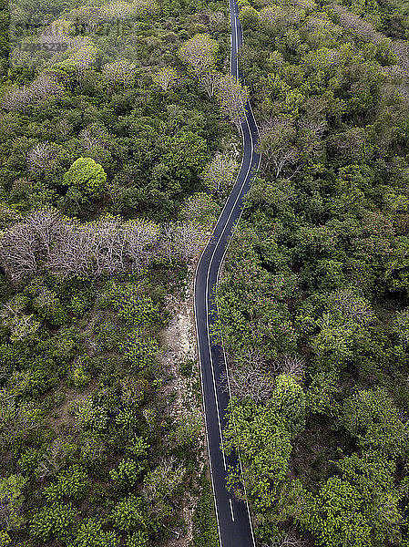 Indonesia,  Bali,  Aerial view of road and forest