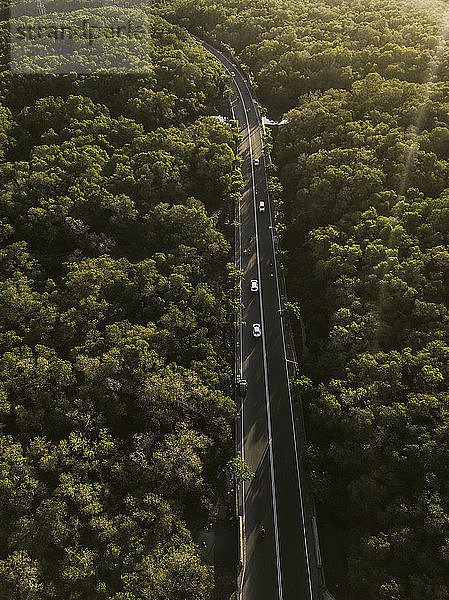 Indonesia,  Bali,  Aerial view of a road through forest