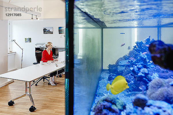 Young woman working at desk in office with an aquarium