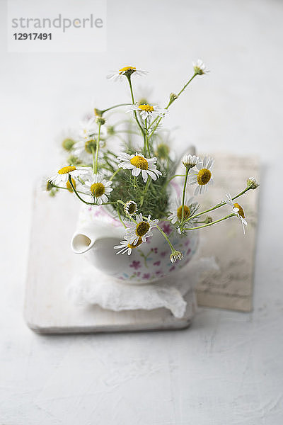 Chamomile flowers in a tea pot