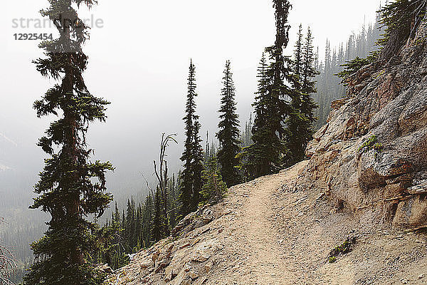 Der Pacific Trail windet sich entlang eines rauchigen und dunstigen Abschnitts in der Nähe des Cutthroat Pass,  North Cascades,  Washington