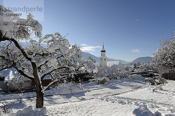 Österreich,  Tirol,  Seefeld,  ein mit Schnee bedeckter Baum im Vordergrund des Dorfes Wildermiemming