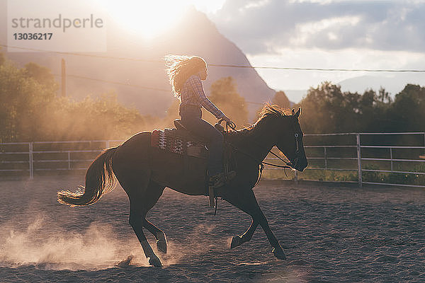 Langhaarige junge Frau beim Galoppieren zu Pferd auf dem ländlichen Reitplatz,  von hinten beleuchtet,  Primaluna,  Trentino-Südtirol,  Italien