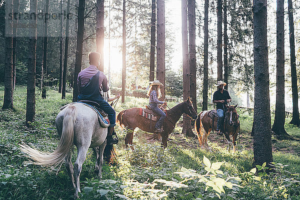 Reiten für junge Erwachsene im sonnenbeschienenen Wald,  Primaluna,  Trentino-Südtirol,  Italien