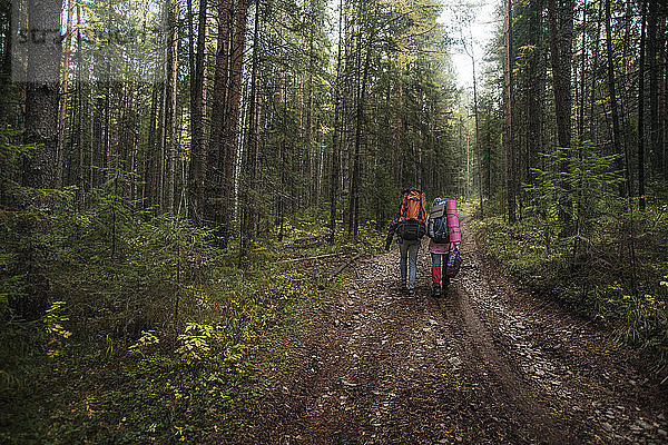 Männliche Wanderer mit Rucksack auf unbefestigtem Weg inmitten von Bäumen im Wald