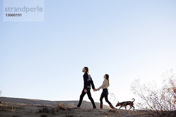 Paar hält sich beim Spaziergang mit Hund auf dem Feld bei klarem Himmel an den Händen