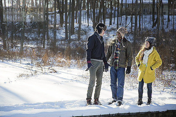 Freunde unterhalten sich,  während sie auf einem schneebedeckten Feld stehen