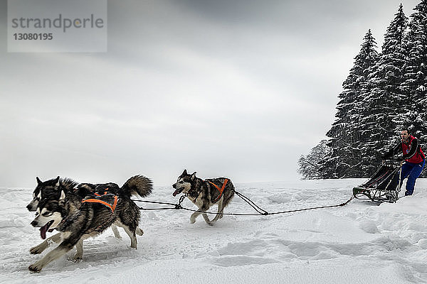 Mensch mit Hundeschlitten auf verschneitem Feld gegen den Himmel