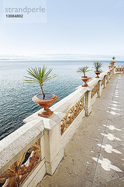Pflanzen wachsen auf der Stützmauer am Meer gegen den klaren Himmel