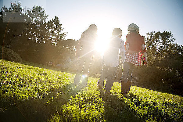 Freunde in voller Länge bei Sonnenschein auf Grasfeld spazieren