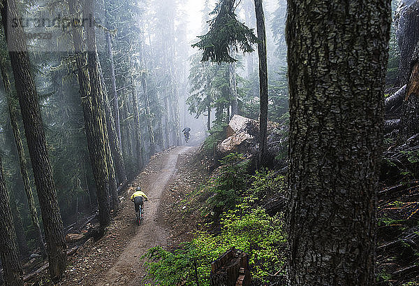 Hochwinkelaufnahme von männlichen Freunden beim Mountainbiken im Wald