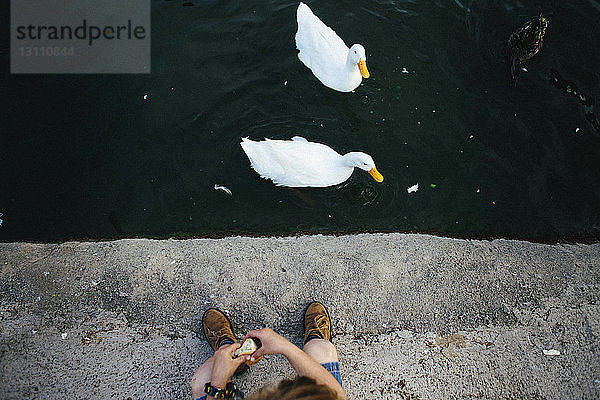 Hochwinkelaufnahme eines Mädchens,  das im See schwimmende Enten füttert