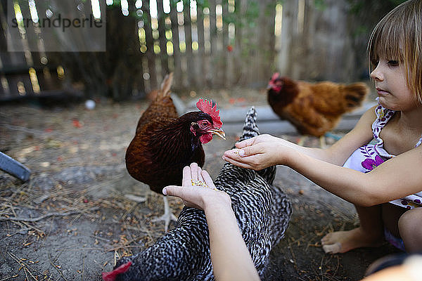 Schwestern bei der Hühnerfütterung auf dem Bauernhof