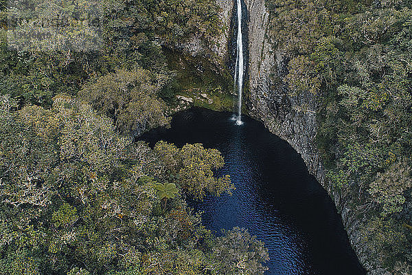 Hochwinkelansicht eines Wasserfalls im Wald