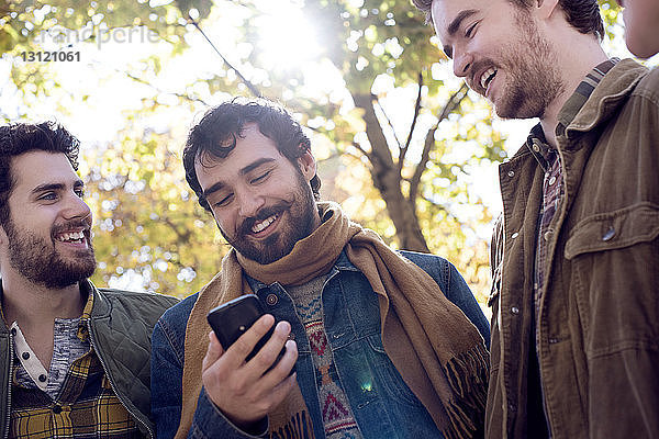 Niedriger Blickwinkel auf fröhliche männliche Freunde mit Smartphone im Park