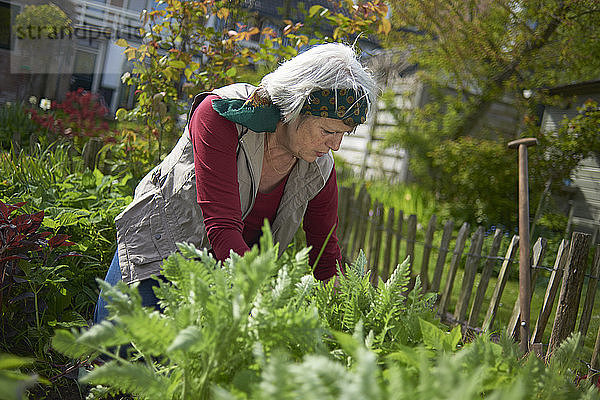 Ältere Frau bei der Gartenarbeit im Hinterhof