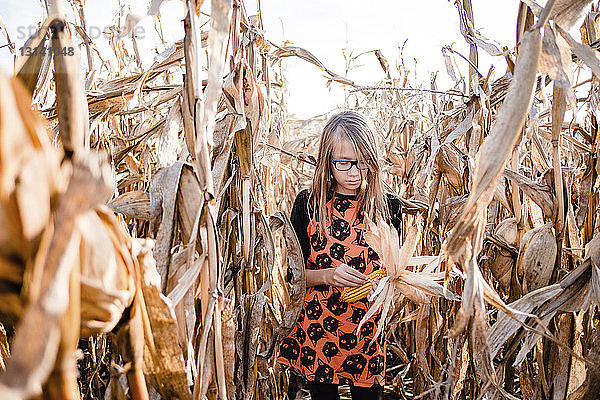 Mädchen hält Mais,  während sie auf dem Bauernhof gegen den Himmel steht