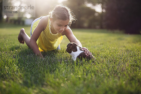 Auf Gras kniendes Mädchen streichelt Boston-Terrier-Welpen
