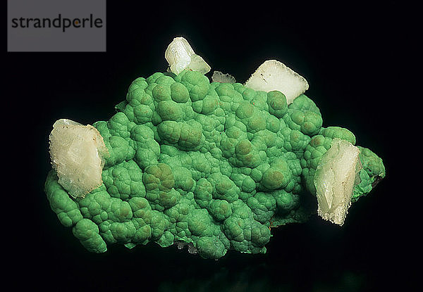 Mottramite (green) with calcite,  from the Tsumeb Mine in Tsumeb,  Namibia. Specimen dimension: 5 x 3 x 1.5 cm.