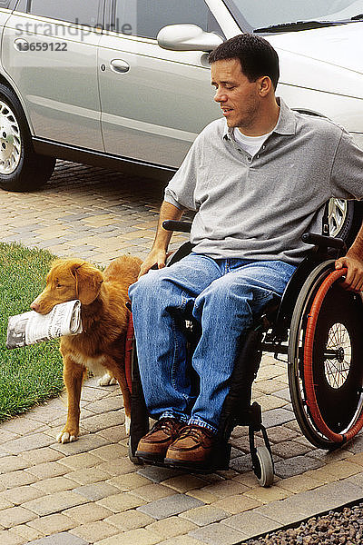 A disabled man's dog carries his newspaper.