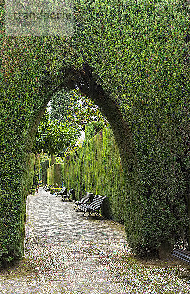 Gardens of the Generalife,  Spain