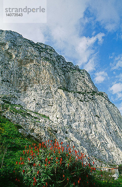 Rocks of Gibraltar