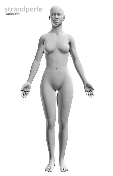Anatomic Position,  Female Body