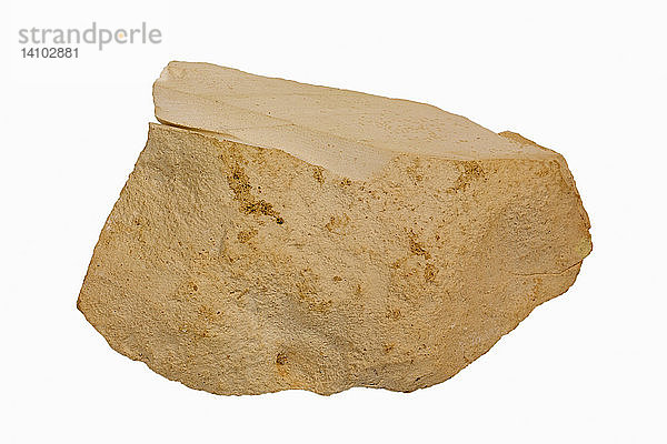 Silicified Limestone