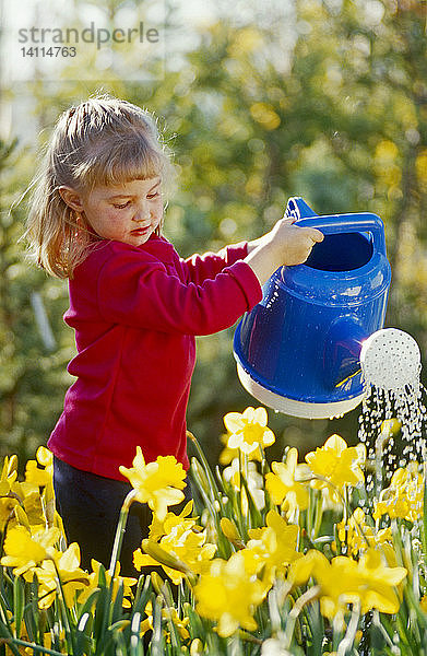 Watering the Flowers