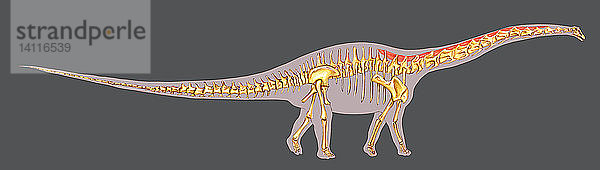 Dinosaur Neck Structure