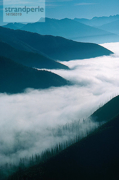 Montana Fog