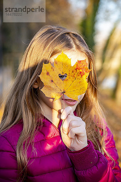 Porträt eines Mädchens,  das durch ein herzförmiges Loch im Herbstblatt blickt