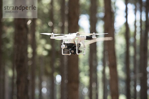 Drohne fliegt im Wald