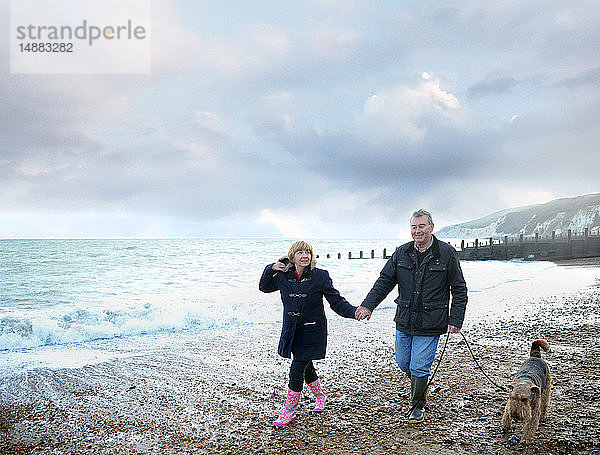 Romantisches älteres Paar,  das am Strand Händchen hält und mit dem Hund spazieren geht,  Eastbourne,  East Sussex,  England