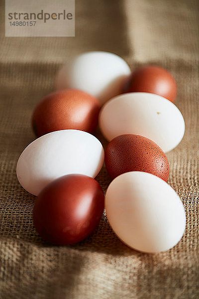 Weiße und braune Eier auf Leinentuch