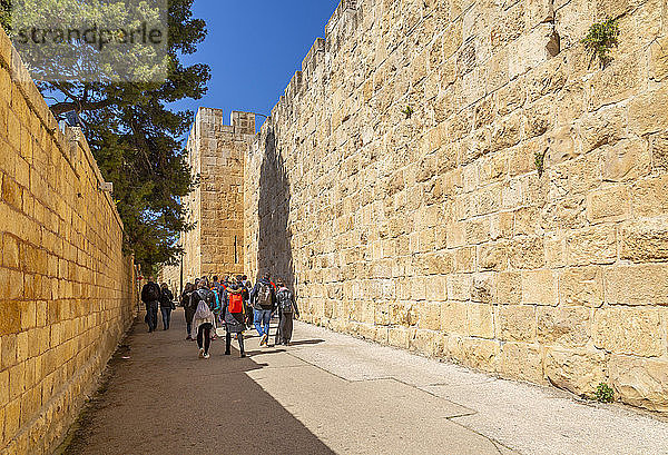 Reisegruppe an der alten Stadtmauer,  Altstadt,  Altstadt,  UNESCO-Weltkulturerbe,  Jerusalem,  Israel,  Naher Osten
