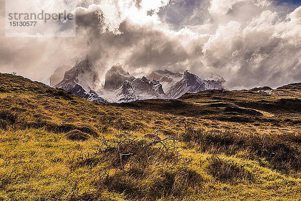 Wunderschöne Landschaft im Torres del Paine National Park,  Patagonien,  Chile,  Südamerika