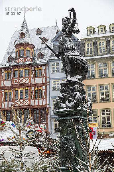 Frankfurter Weihnachtsmarkt,  Frankfurt am Main,  Hessen,  Deutschland,  Europa