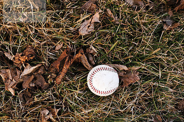 Baseballball auf feuchtem Gras mit Herbstlaub,  Draufsicht