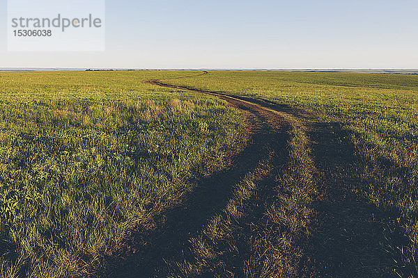Blick über die weite offene Fläche des Tallgrass Prairie Preserve im Frühling,  mit üppigem Gras und einem gut genutzten Weg.